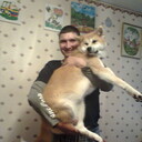 ���������� ������������, ���� ������� V V V, 46 ���, ������������ ��� ������, ����� � ���������, c�������� ���������, ���������