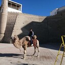 ���������� ������, ���� ������� Alex, 39 ���, ������������ ��� ������, ����� � ���������, ���������