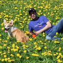 ���������� ����������, ���� ������� �������, 38 ���, ������������ ��� ������, ����� � ���������