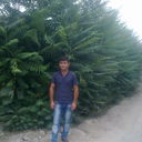  ,   Vuqar, 43 ,   ,   , c , 