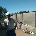  ,   , 68 ,   ,   