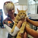 ���������� �����, ���� ������� ���, 53 ����, ������������ ��� ����� � ���������, c�������� ���������