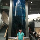  ,   , 44 ,   