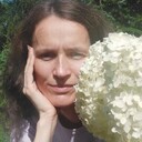 ���������� �����, ���� ������� �����, 40 ���, ������������ ��� c�������� ���������