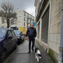  ,   Giorgi, 37 ,     , c , 