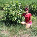  ,   , 40 ,   ,   , c 