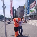 ���������� �������, ���� ������� ����, 44 ����, ������������ ��� ������, ����� � ���������, c�������� ���������, ���������