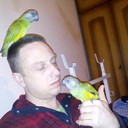 ���������� ��������, ���� ������� �����, 46 ���, ������������ ��� ������