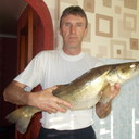  ,   , 58 ,   