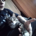 ���������� �����-���������, ���� ������� �����, 32 ����, ������������ ��� ������, ����� � ���������, c�������� ���������