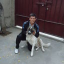  ,   Almaz, 49 ,   ,   , c 
