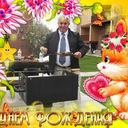  ,   Ogonek, 74 ,     , c 