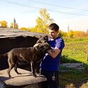 ���������� �����������, ���� ������� �������, 36 ���, ������������ ��� ������, ����� � ���������, c�������� ���������