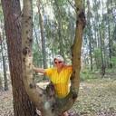  ,   , 53 ,     , 