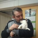 ���������� �����-���������, ���� ������� �����, 44 ����, ������������ ��� ������, ����� � ���������, c�������� ���������