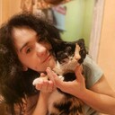  ,   , 27 ,   