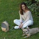  ,   , 41 ,   ,   