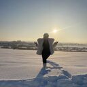 ���������� �����, ���� ������� ��������, 23 ����, ������������ ��� ����� � ���������, c�������� ���������