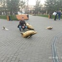 ���������� �������, ���� ������� ������, 45 ���, ������������ ��� ������, ����� � ���������, c�������� ���������