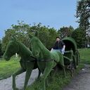 ���������� �������, ���� ������� ���������, 27 ���, ������������ ��� ������, ����� � ���������, ���������