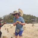  Boyalik,   , 69 ,     , c 