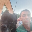 ���������� ����-�������, ���� ������� �����, 43 ����, ������������ ��� c�������� ���������