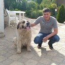  ,   , 37 ,   ,   , c , 
