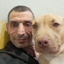 ���������� �����, ���� ������� ���������, 49 ���, ������������ ��� ����� � ���������, c�������� ���������