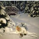 ���������� ������, ���� ������� �������, 45 ���, ������������ ��� ������