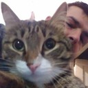 ���������� �����������, ���� ������� ���������, 43 ����, ������������ ��� ������, ����� � ���������, c�������� ���������