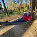 ���������� ������, ���� ������� ��������, 36 ���, ������������ ��� ������, ����� � ���������, c�������� ���������, ���������