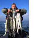 ���������� �����������, ���� ������� Boberkl, 43 ����, ������������ ��� ������, ����� � ���������, c�������� ���������, ���������