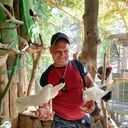  ,   , 41 ,     , c , 