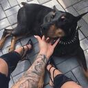  ,   , 26 ,  