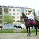 ���������� ������ �����, ���� ������� ����, 34 ����, ������������ ��� ������, ����� � ���������, c�������� ���������, ���������