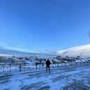 ���������� ���������� �����, ���� ����� ����, 25 ���, ������������ ��� ������, ����� � ���������, c�������� ���������