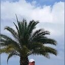 ���������� �����, ���� ������� �������, 53 ����, ������������ ��� ������, ����� � ���������