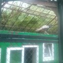  ,   , 37 ,   ,   , c 