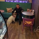 ���������� �����, ���� ������� ����������, 50 ���, ������������ ��� ������, ����� � ���������