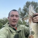 ���������� �����������, ���� ������� ���������, 39 ���, ������������ ��� c�������� ���������