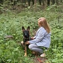 ���������� ������, ���� ������� ����, 19 ���, ������������ ��� ����� � ���������, c�������� ���������