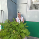  ,   , 54 ,  