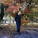 ,   , 52 ,  