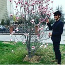 ���������� �������, ���� ������� Mookh, 29 ���, ������������ ��� ������, ����� � ���������, c�������� ���������