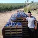 ���������� ��������, ���� ������� ������, 44 ����, ������������ ��� ������, ����� � ���������, c�������� ���������, ���������