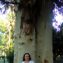 ���������� ������, ���� ������� ����, 49 ���, ������������ 