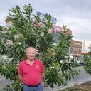  ,   , 60 ,   ,   