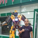 ���������� �������, ���� ������� ����, 41 ���, ������������ 