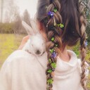 ���������� ������, ���� ������� ����, 29 ���, ������������ ��� ������, ����� � ���������