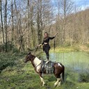  ,   , 35 ,   